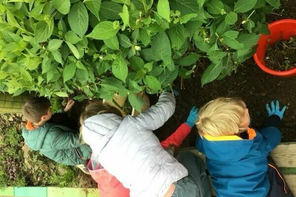 Kinder, Erde
