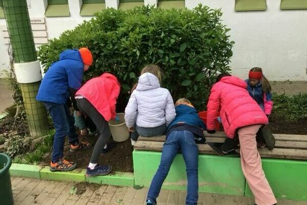 Kinder, Pflanzen